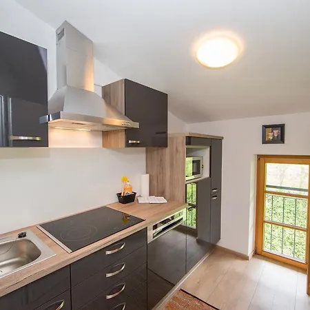 公寓 Schmittental - Schmitten62 Self Check-in 滨湖采尔